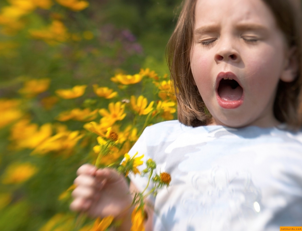 allergy 5