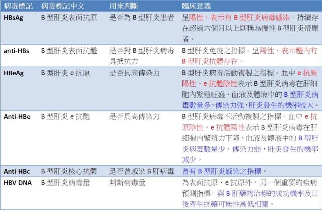 B型肝炎病毒你認識多少 牛樟芝學院