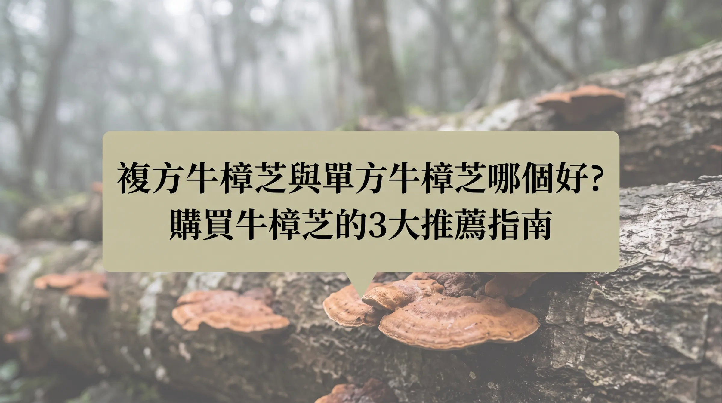 根據以下標題，幫我生成適合部落格文章的意象圖，尺寸為1280 X 720，圖片中央用文青方對話框色塊壓上文章標題，背景底圖刷淡，真實攝影風格 複方牛樟芝與單方牛樟芝哪個好?購買牛樟芝的3大推薦指南