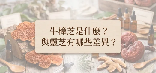 牛樟芝靈芝有哪些差異?